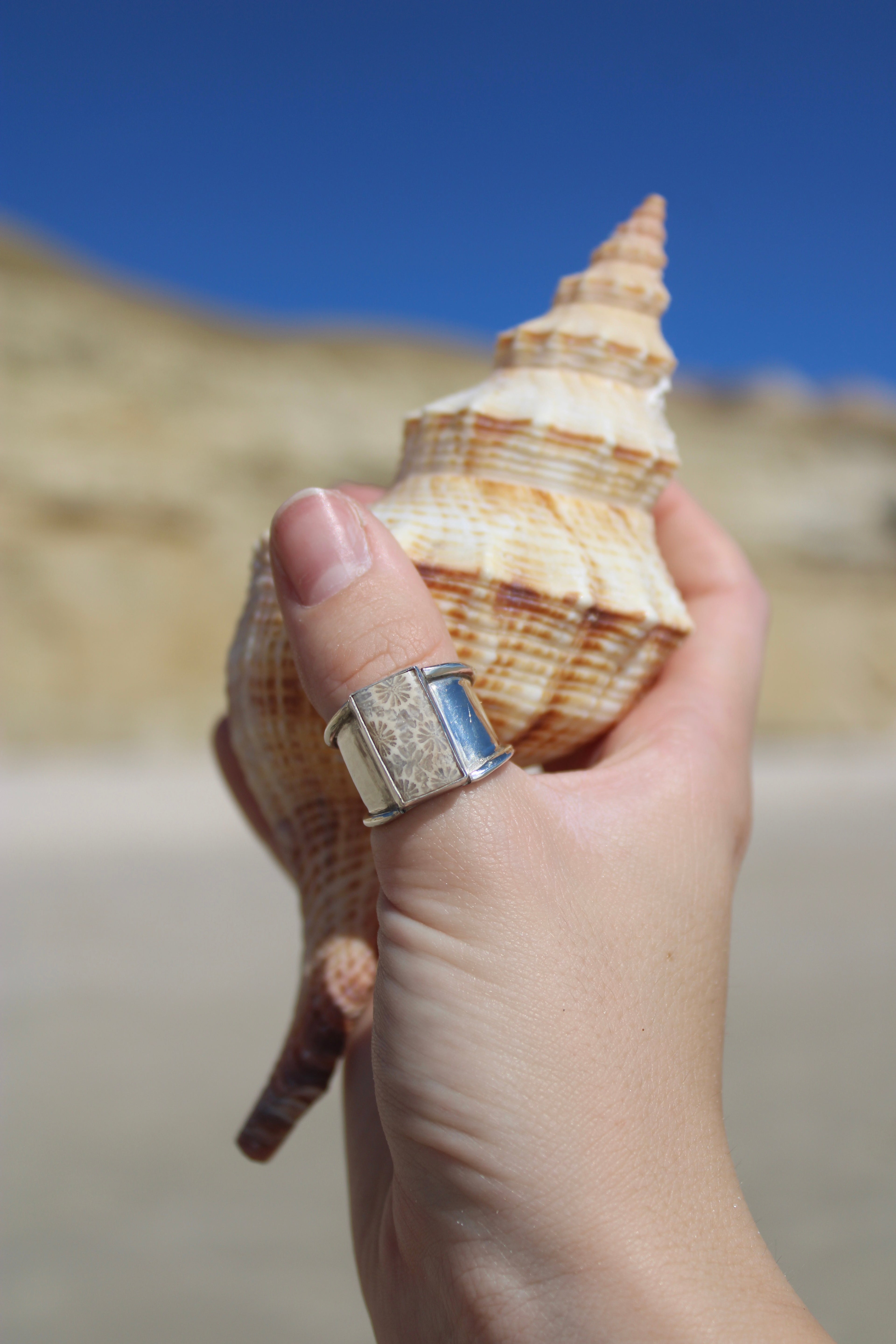 Fossil Coral Chunky Ring