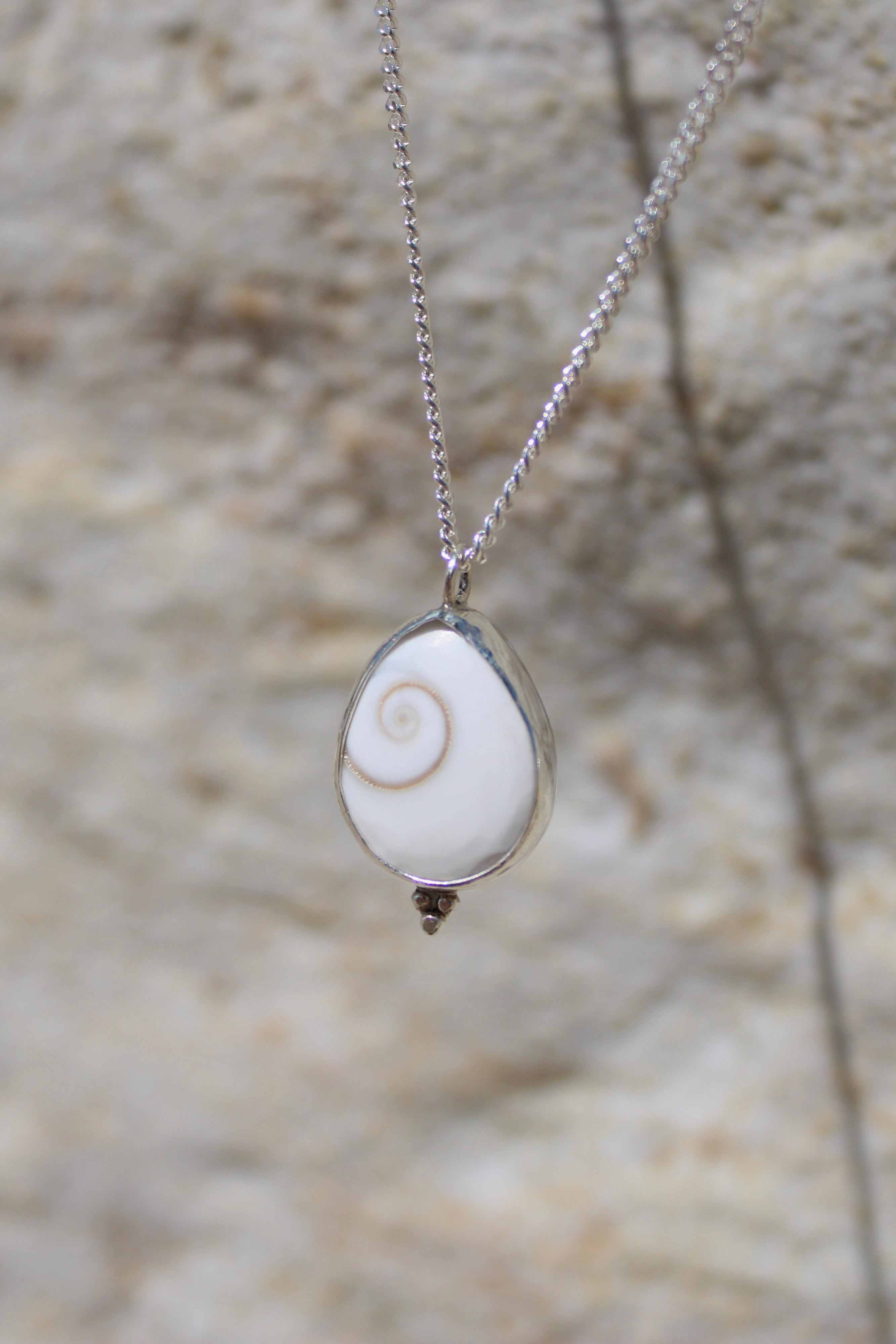 Operculum Shell Tear Drop Necklace